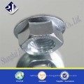 Zinc DIN 6923 Flange Nut